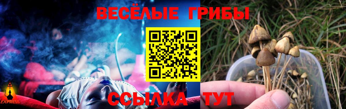 Псилоцибиновые грибы прущие грибы  Вход с VPN  Кирово-Чепецк 